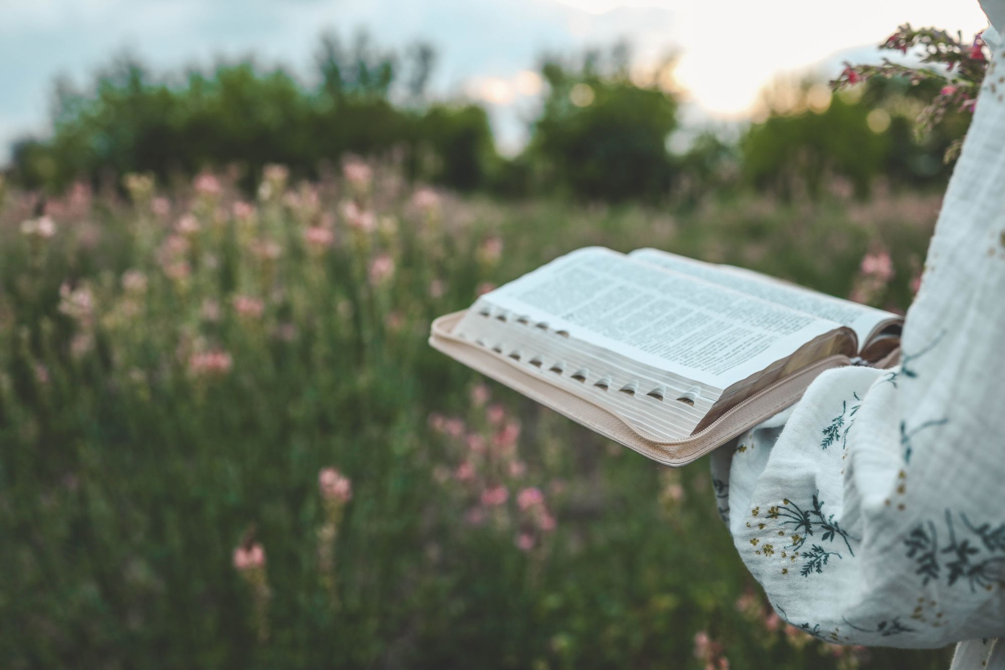 An open Bible held in a wildflower meadow