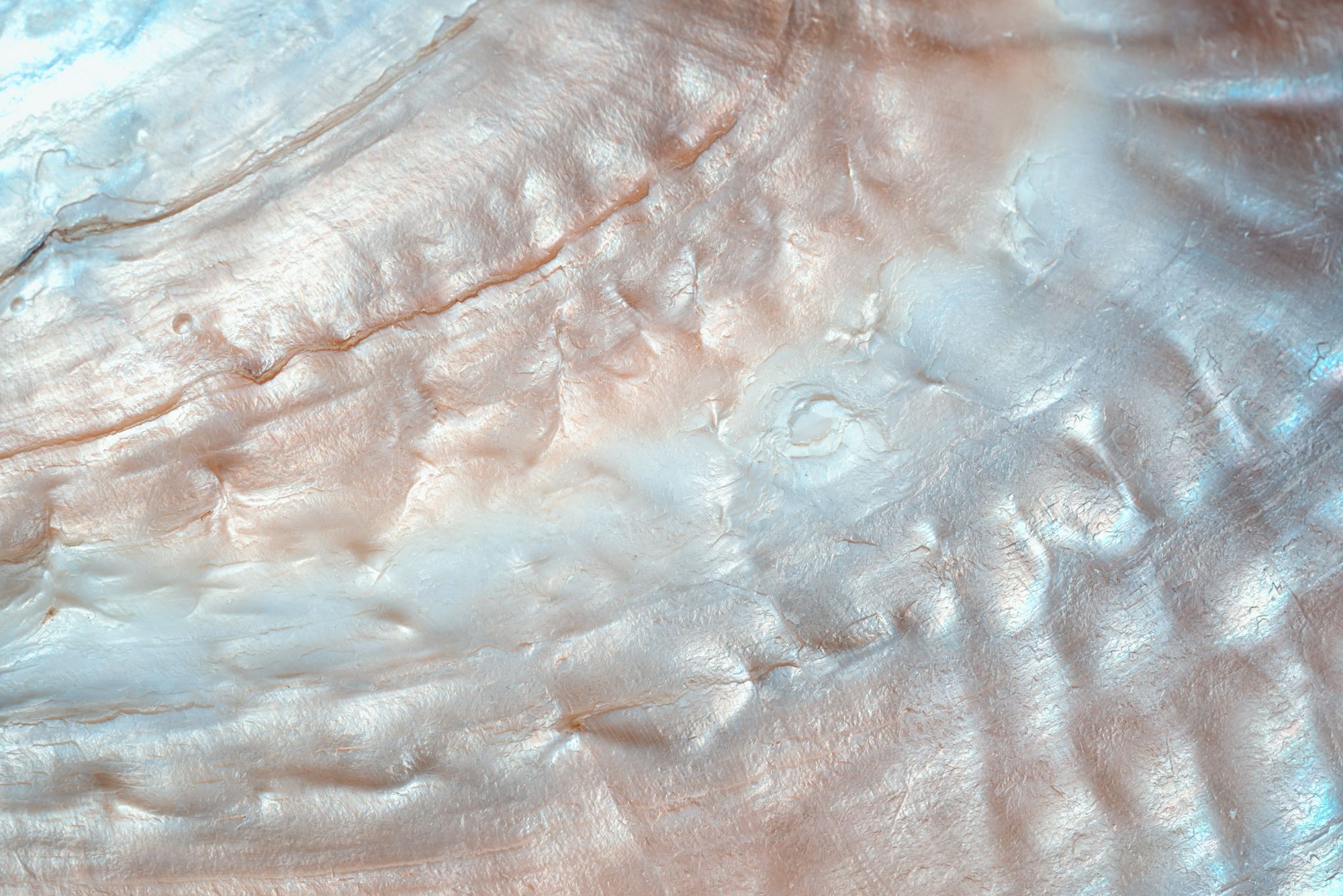 Mother of pearl, close and luminous