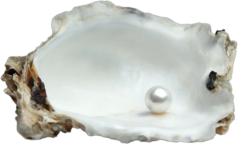 A pearl resting in a mother-of-pearl oyster shell